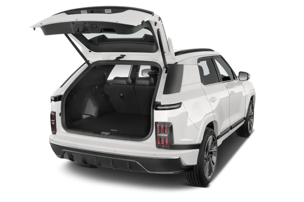 trunk