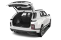 trunk