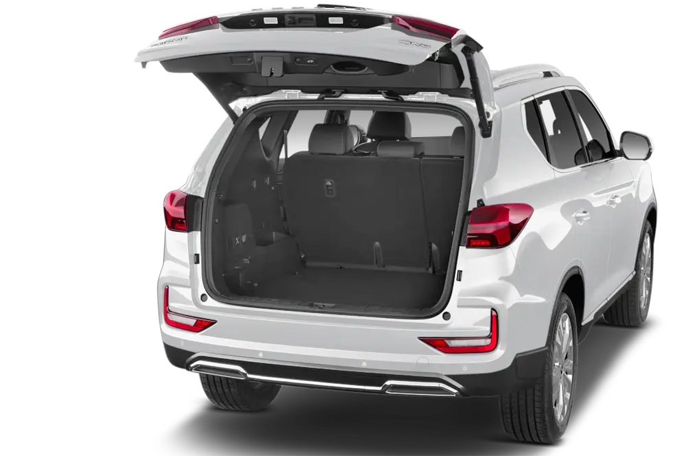 trunk