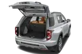 trunk