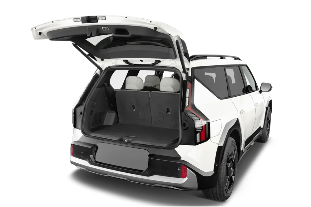 trunk