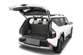 trunk