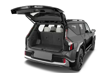 trunk