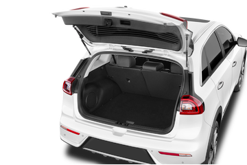 trunk