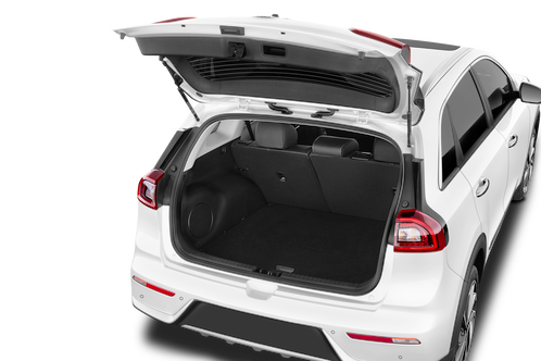 trunk