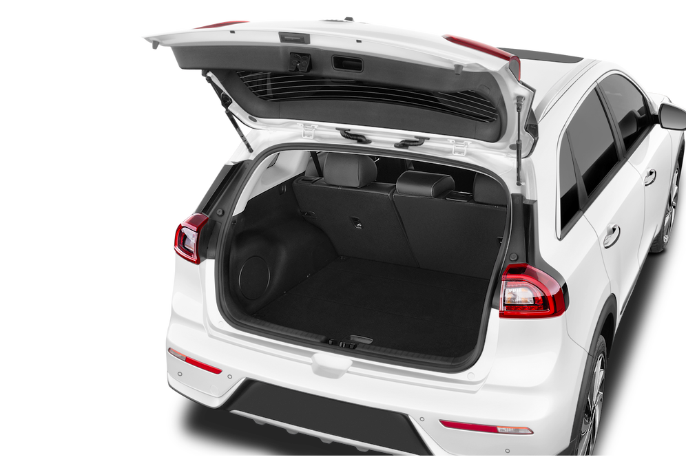 trunk