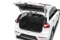 trunk