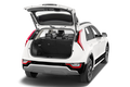 trunk