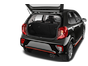 trunk