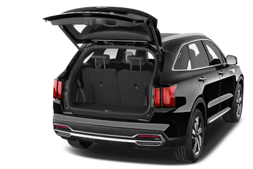 trunk