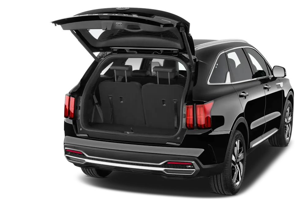 trunk