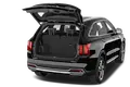 trunk