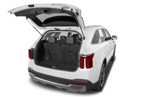 trunk