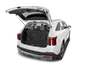 trunk