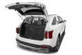 trunk