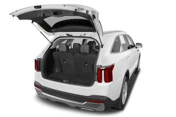 trunk