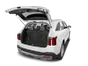 trunk