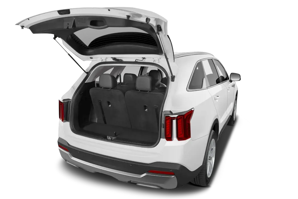 trunk