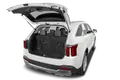 trunk