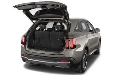 trunk