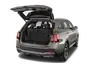 trunk