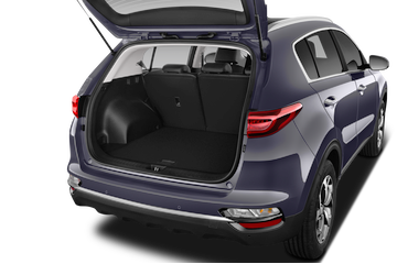 trunk