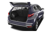 trunk