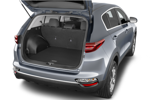 trunk