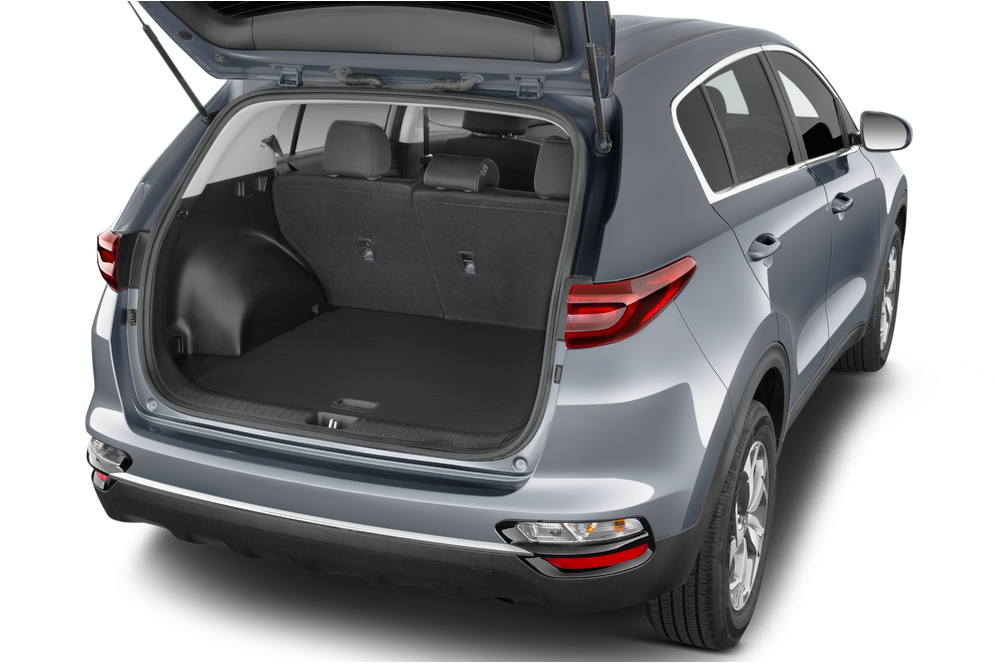 trunk
