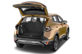 trunk