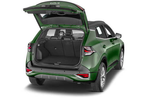 trunk