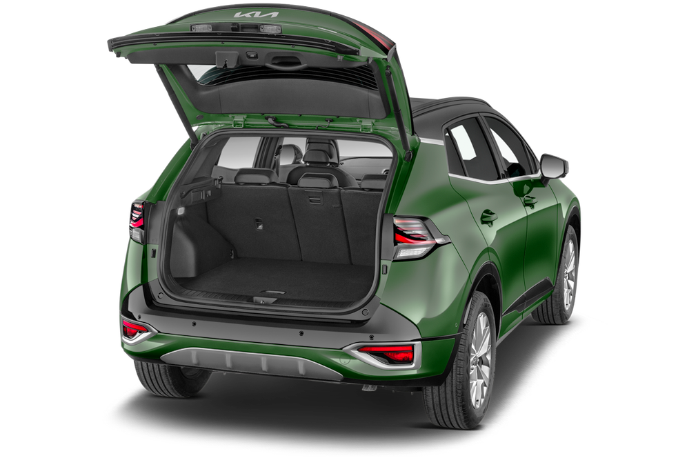 trunk