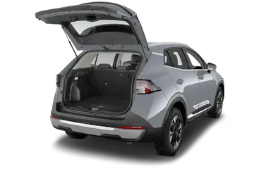 trunk