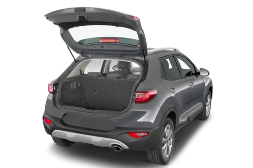 trunk