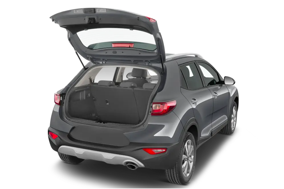 trunk