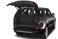 trunk