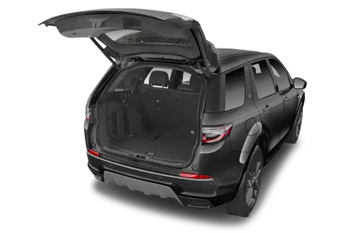 trunk