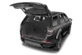 trunk