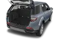trunk