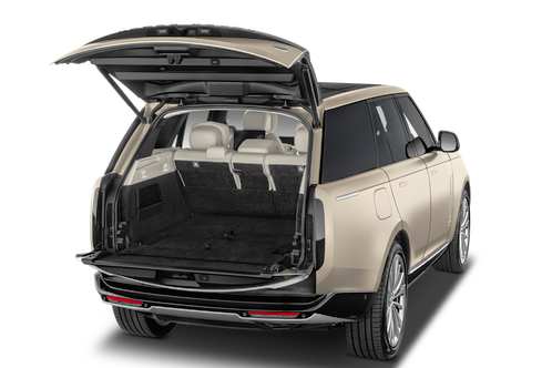 trunk