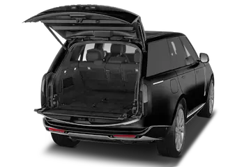 trunk