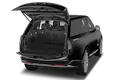 trunk