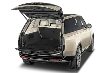 trunk