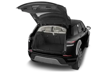 trunk