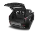 trunk