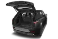 trunk