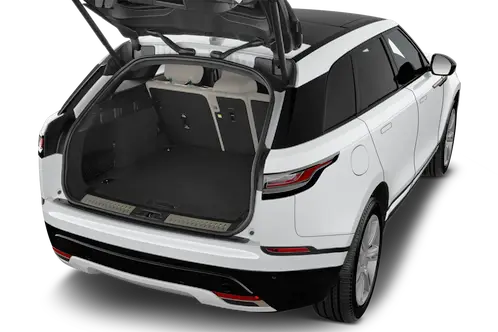 trunk