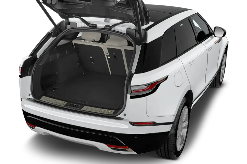 trunk