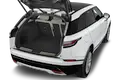 trunk