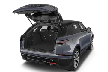 trunk